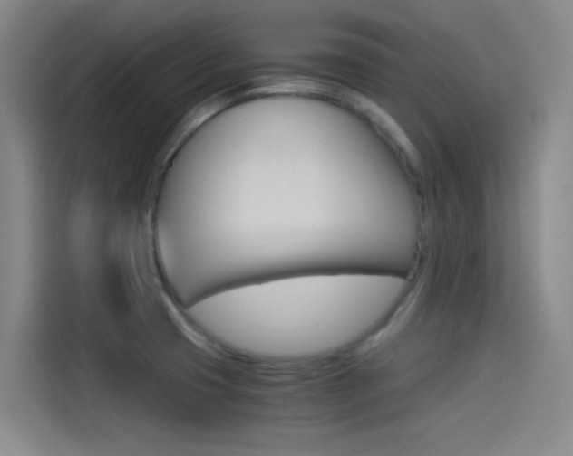 X0000114541425200910190922