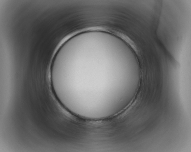 X0000114541428200910190922