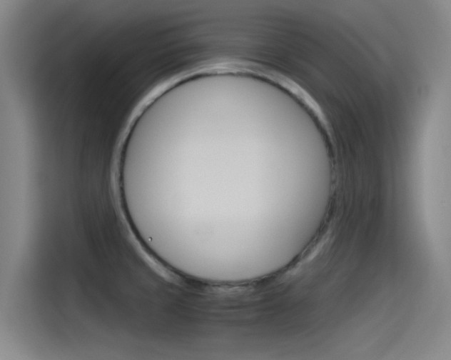 X0000114541429200910190922
