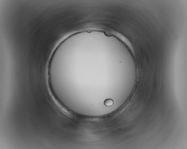 X0000114541431200910190922