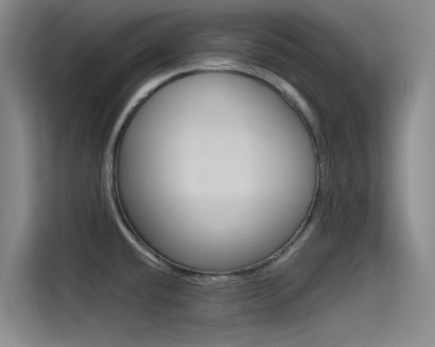 X0000114541432200910190922