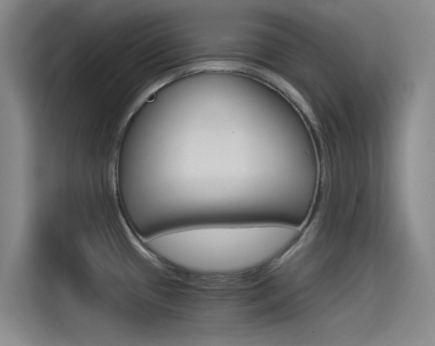X0000114541433200910190922