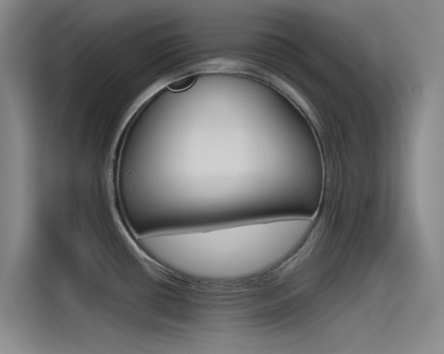 X0000114541434200910190922