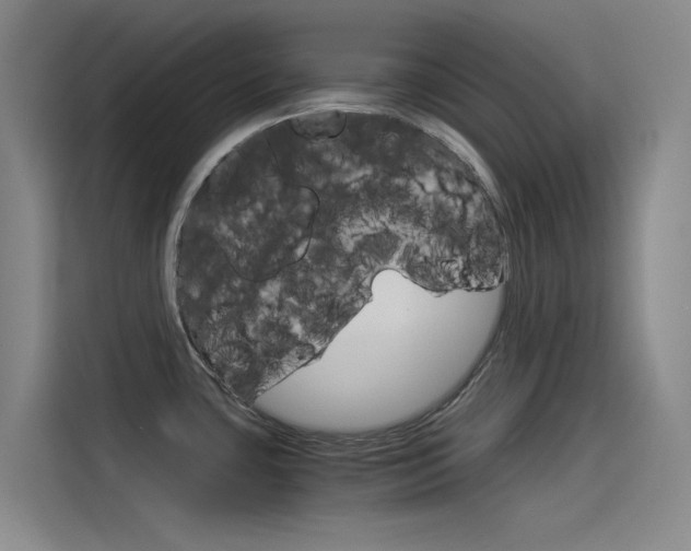 X0000114541435200910190922