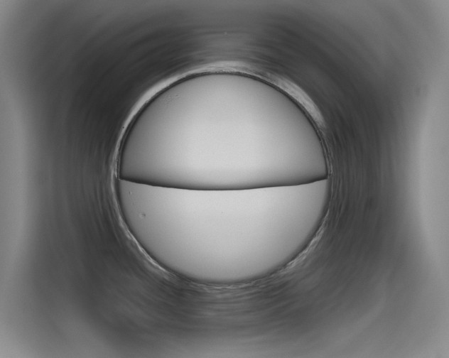 X0000114541436200910190922
