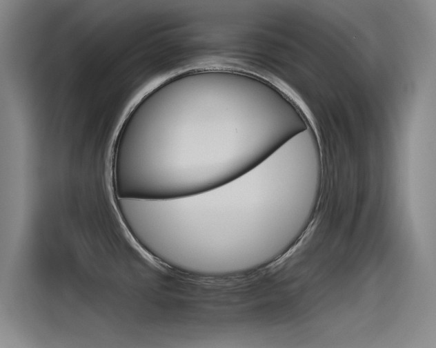 X0000114541437200910190922