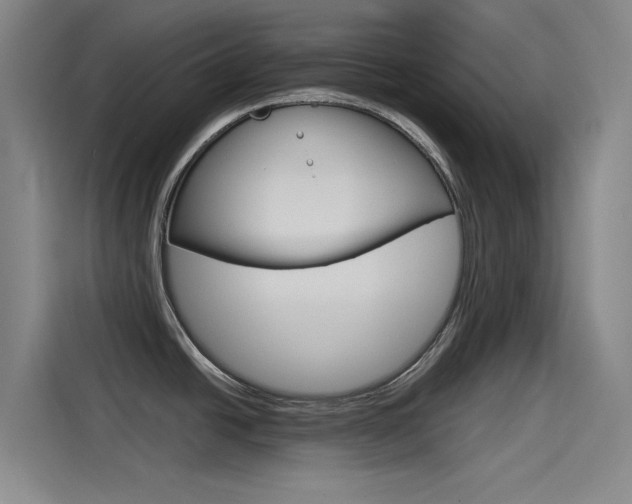X0000114541438200910190922