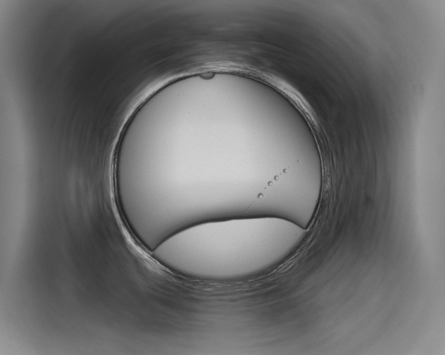 X0000114541439200910190922