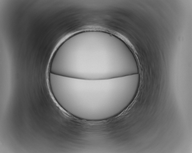 X0000114541440200910190922