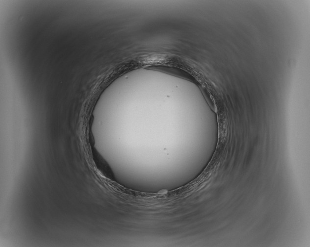 X0000114541441200910190922