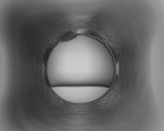 X0000114541443200910190922