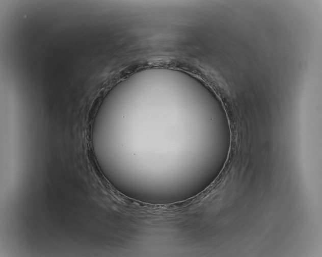 X0000114541445200910190922