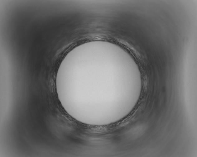 X0000114541446200910190922