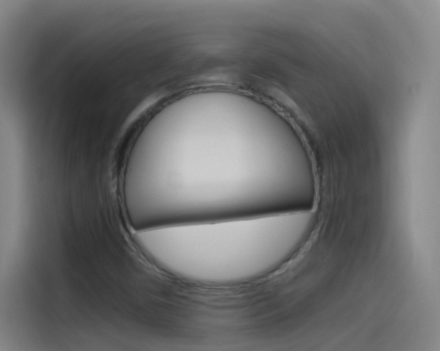 X0000114541450200910190922