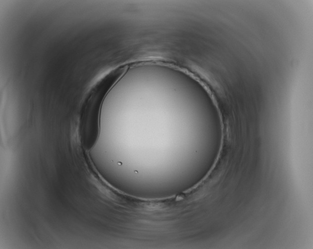 X0000114541452200910190922