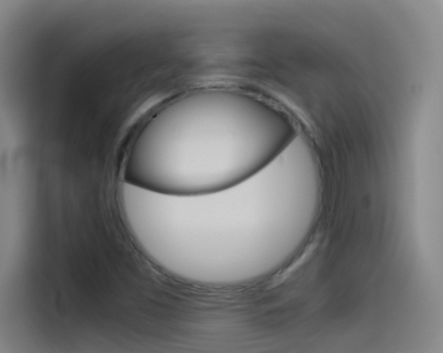 X0000114541453200910190922