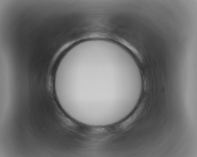 X0000114541454200910190921