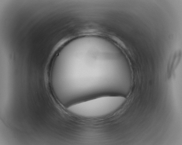 X0000114541458200910190921
