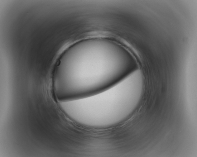 X0000114541459200910190921