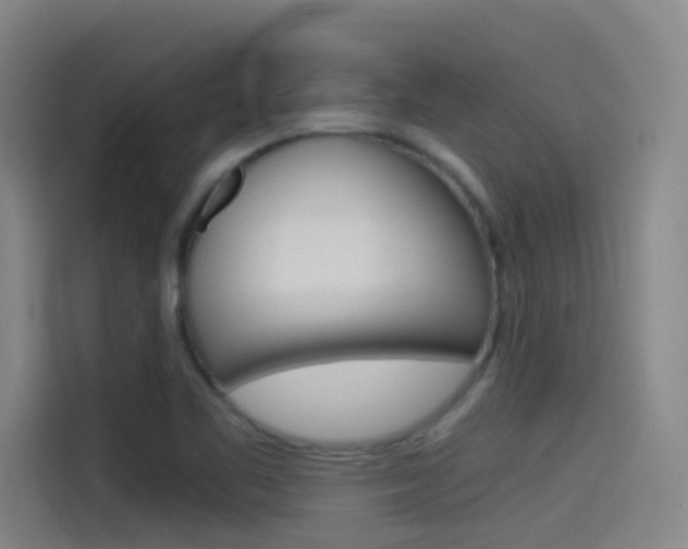 X0000114541461200910190921