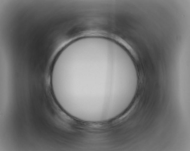 X0000114541462200910190921
