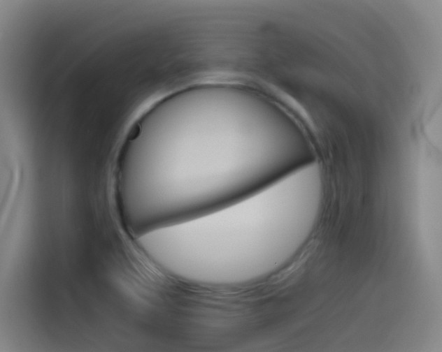 X0000114541463200910190921