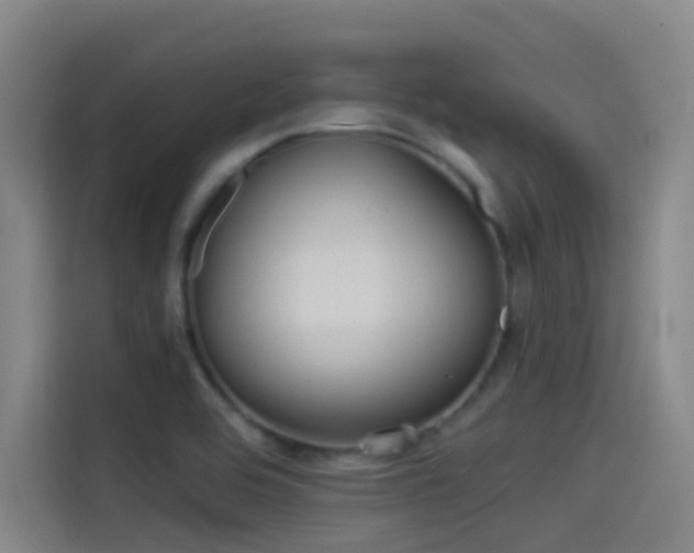 X0000114541464200910190921