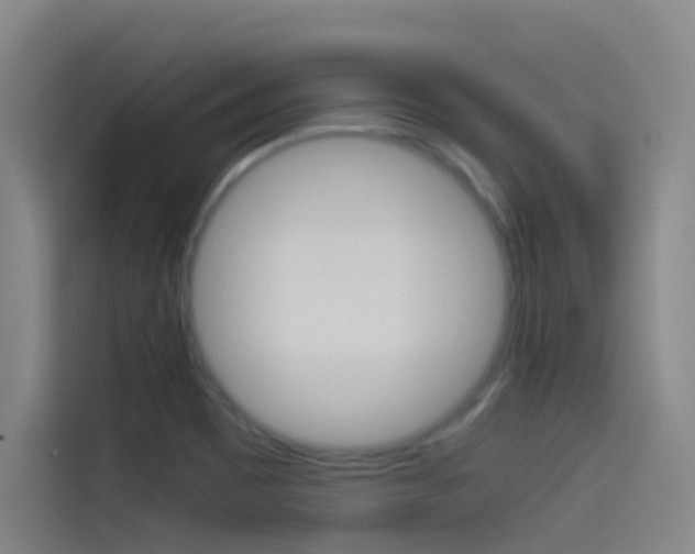 X0000114541465200910190921
