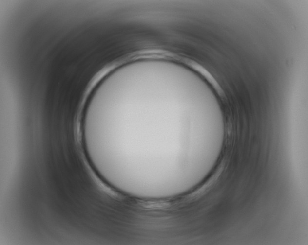 X0000114541466200910190921
