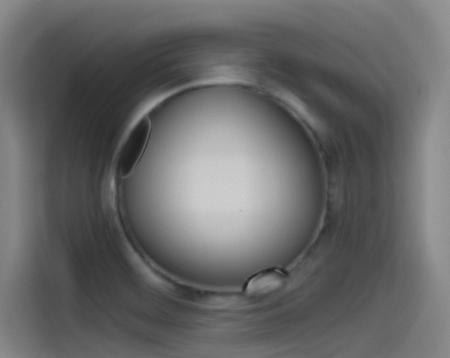 X0000114541468200910190921