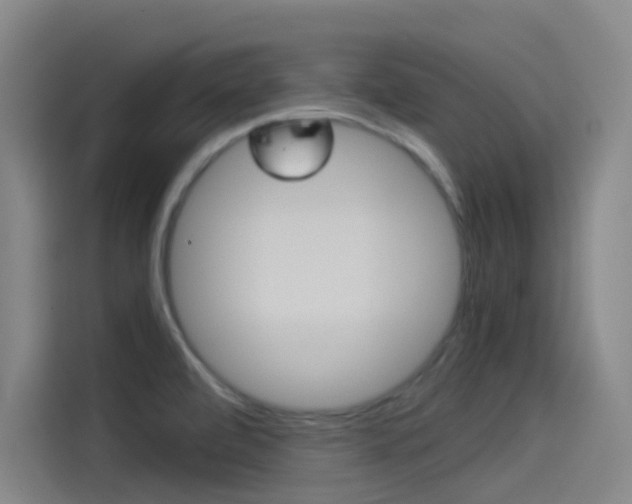 X0000114541472200910190921