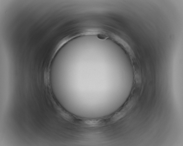 X0000114541473200910190921