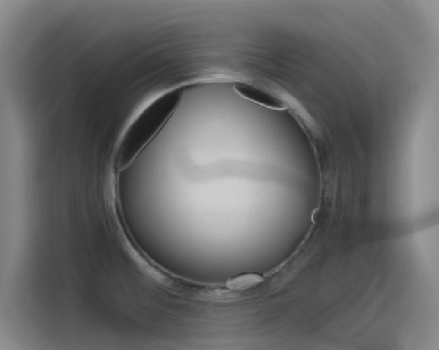 X0000114541476200910190921