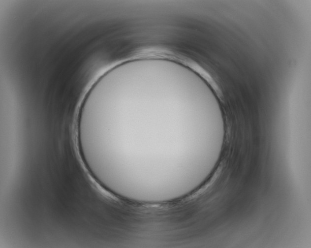 X0000114541478200910190921