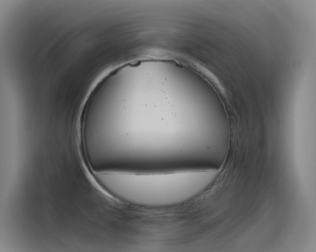 X0000114541479200910190921