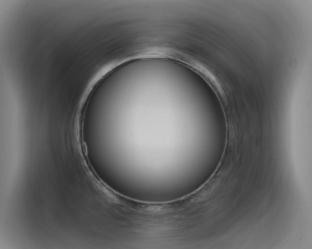 X0000114541480200910190921