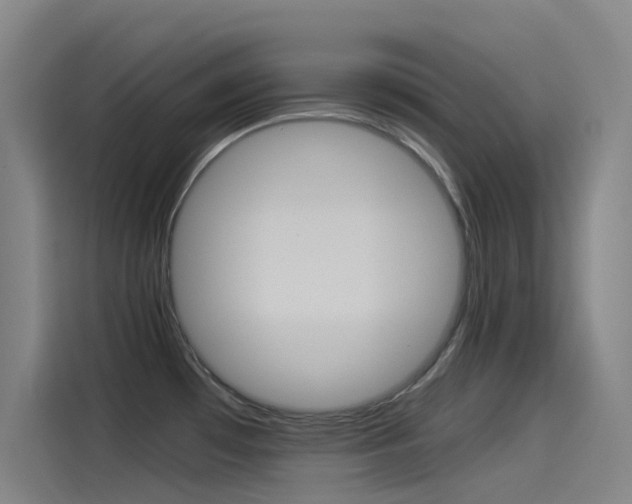 X0000114541481200910190921