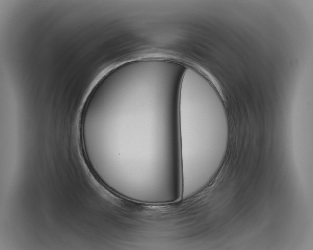 X0000114541483200910190921
