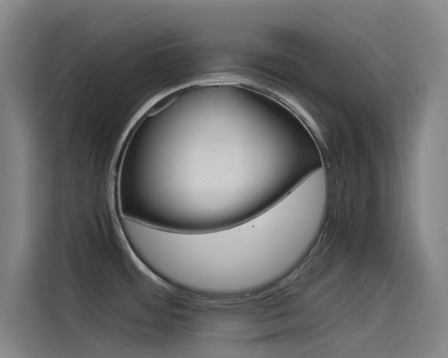 X0000114541484200910190921