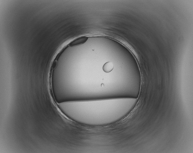 X0000114541485200910190921