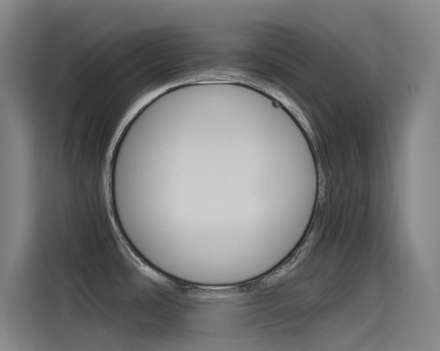 X0000114541486200910190921
