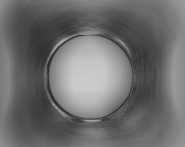 X0000114541487200910190921