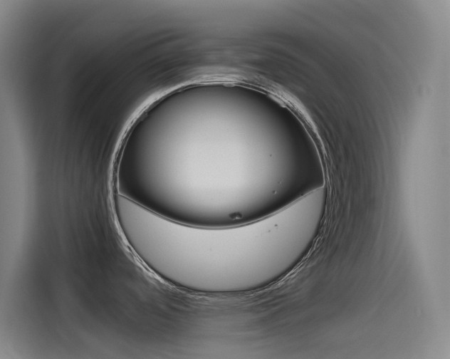 X0000114541488200910190921
