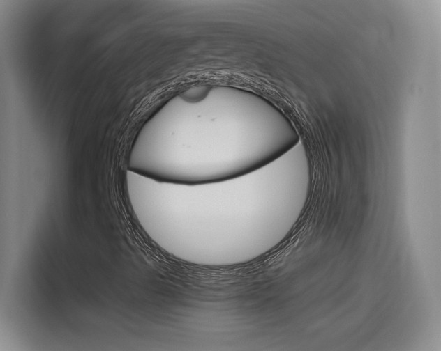 X0000114541489200910190920