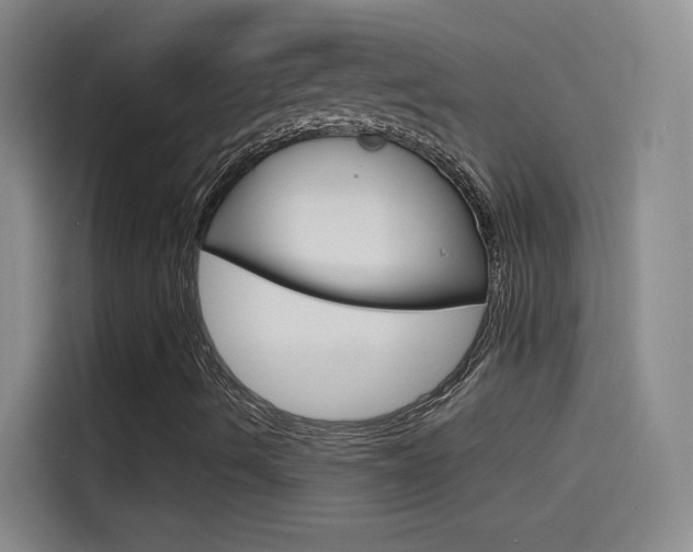 X0000114541490200910190920