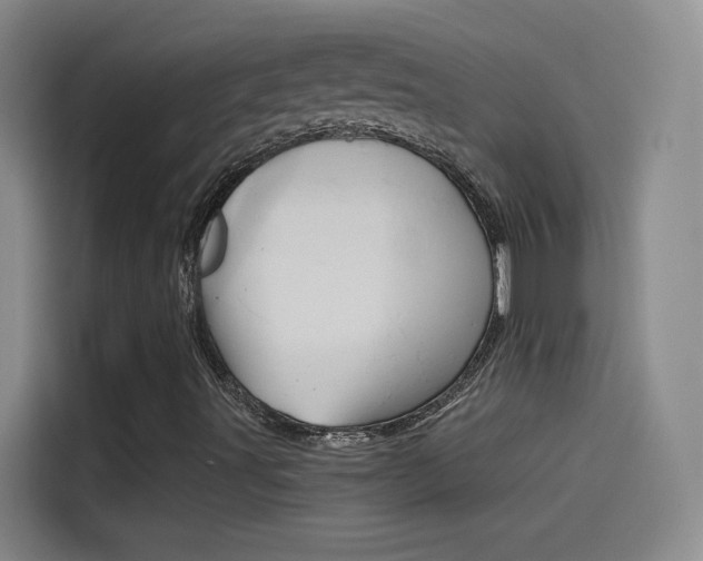 X0000114541491200910190920