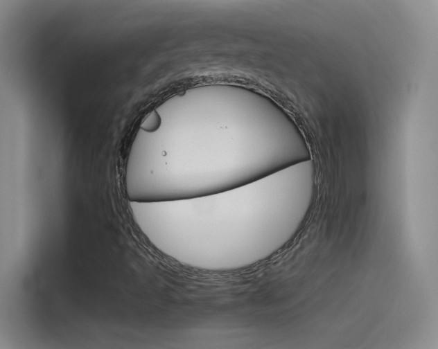 X0000114541493200910190920