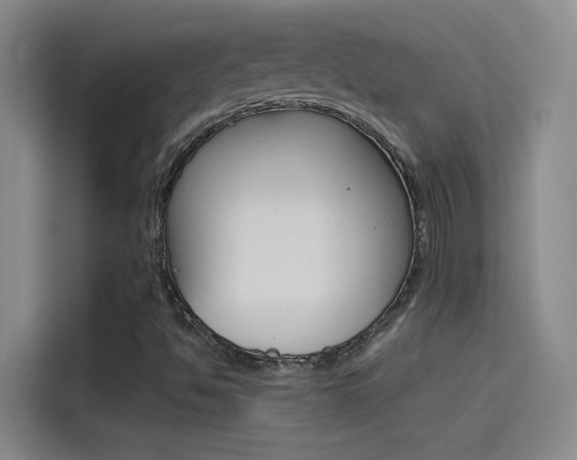 X0000114541494200910190920
