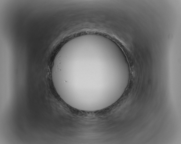 X0000114541495200910190921