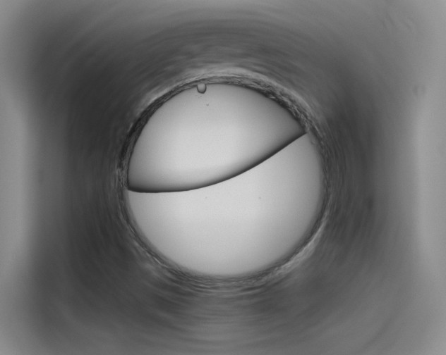 X0000114541497200910190921